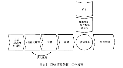 DNA芯片的整个应用链汇总